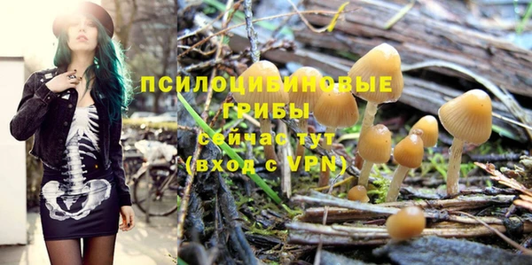 PSILOCYBIN Арсеньев