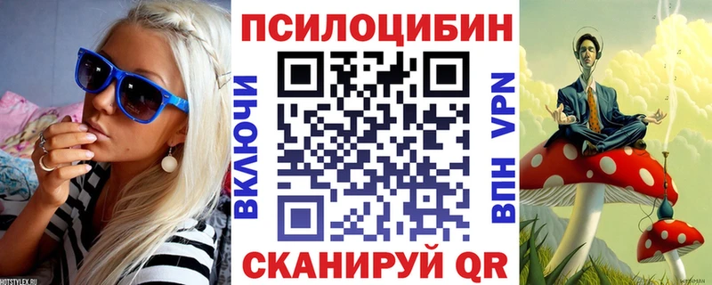 Галлюциногенные грибы Psilocybine cubensis  где можно купить   Петухово 
